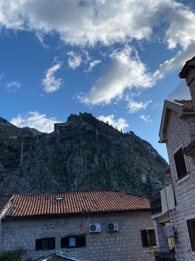 Guest house Viktor 3*